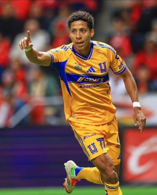 Lainezismo tweet media