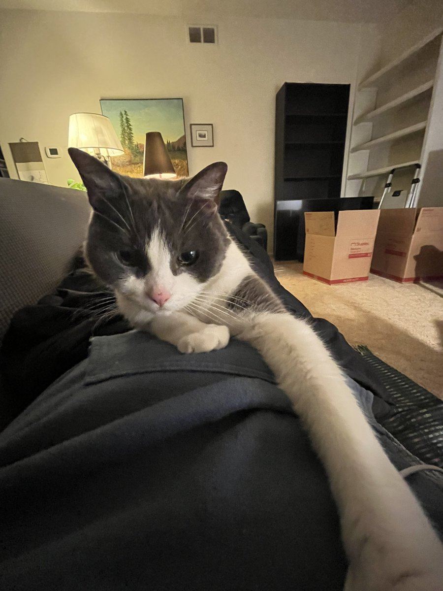 Jake North tweet media