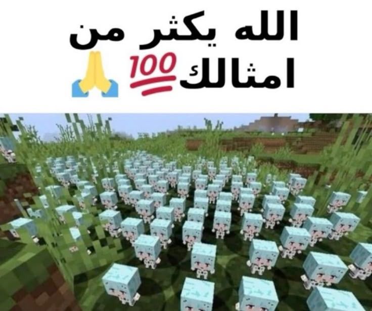 𝒴𝓊𝒾 tweet media