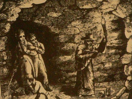 Albion Rose tweet media