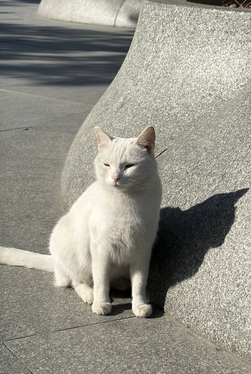 TEEN 6935 ✨ หินมงลง 👑 tweet media