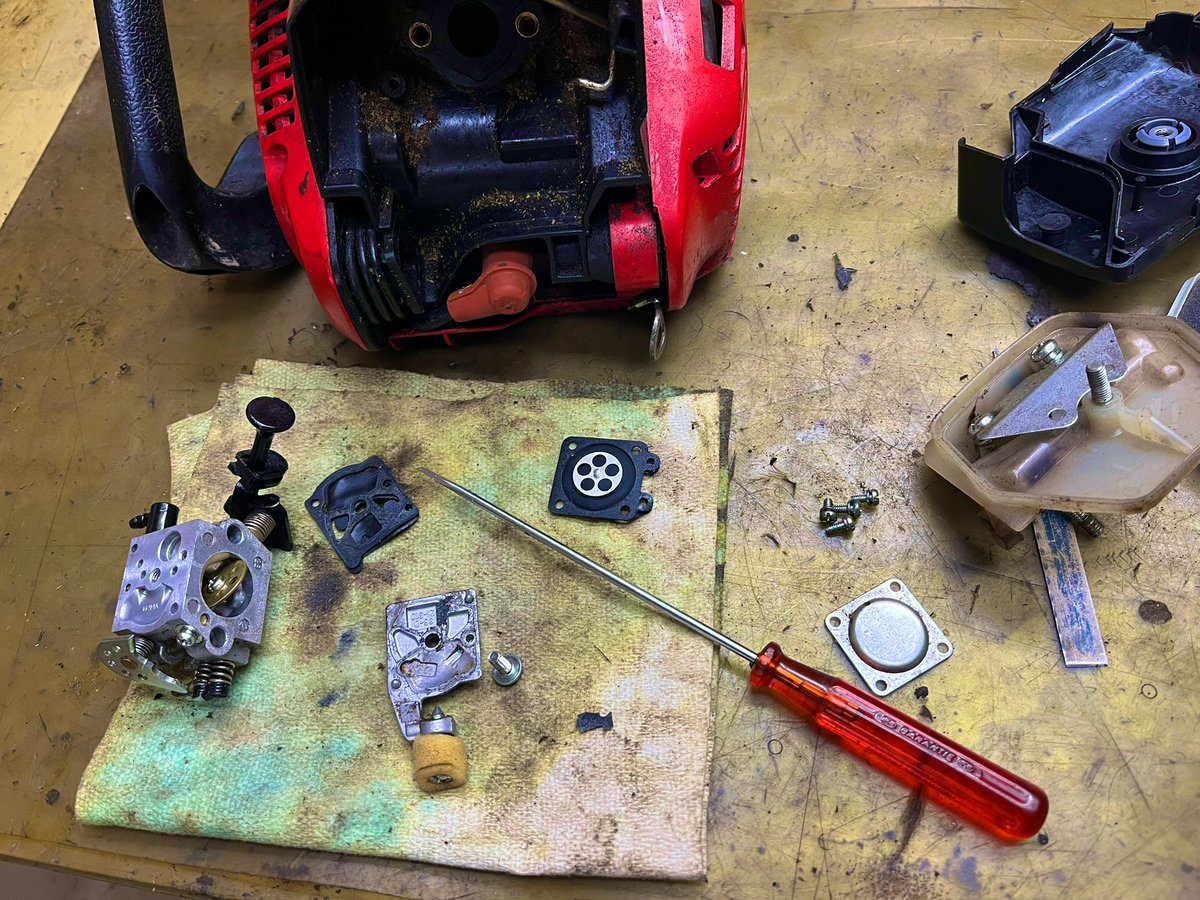 プレアデス☆柊🍇 tweet media