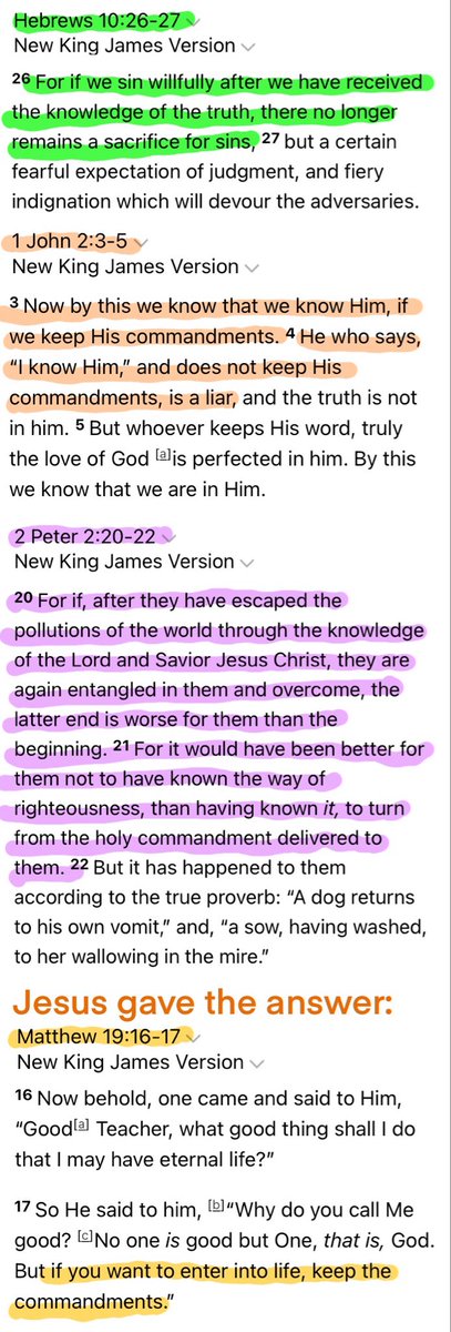 Gabriel Serafin tweet media