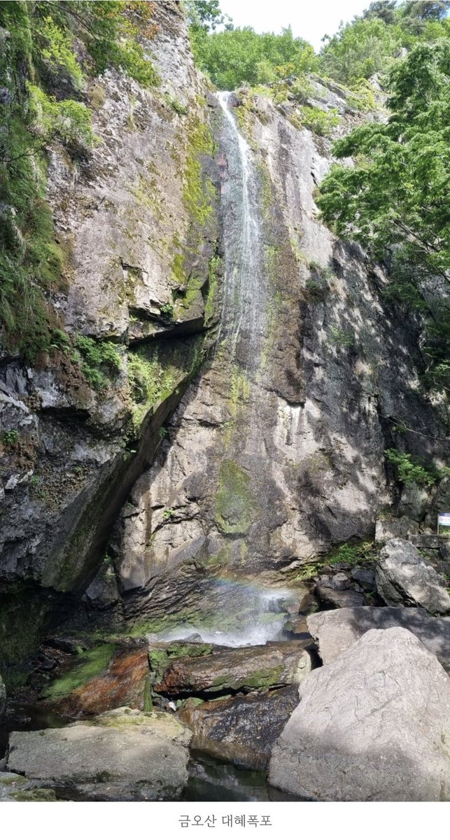 볼프🐺 tweet media