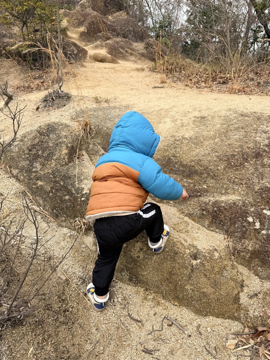 にゃん tweet media