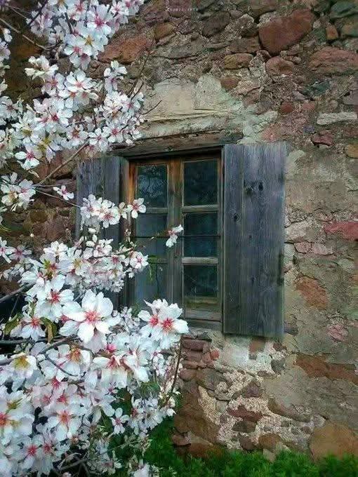 Nina S. Murphy 🌻 tweet media