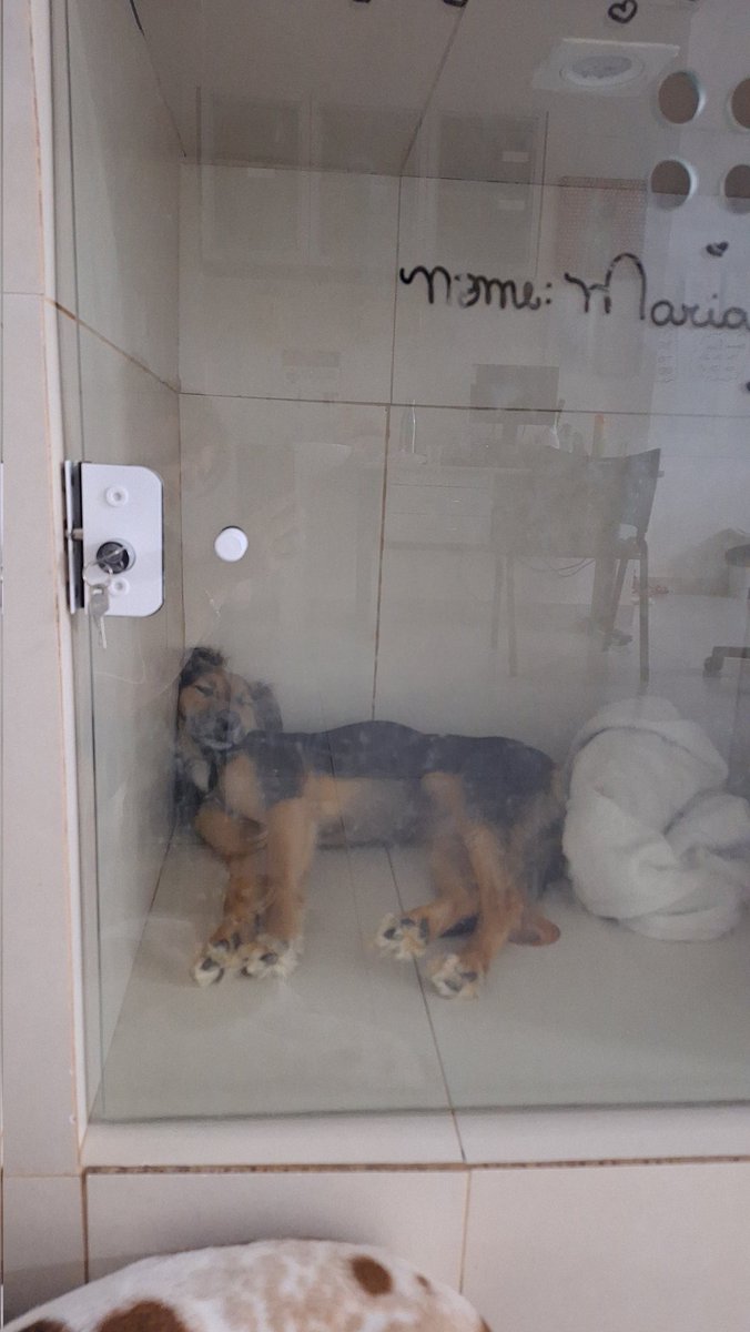 luisa ☽☾ tweet media