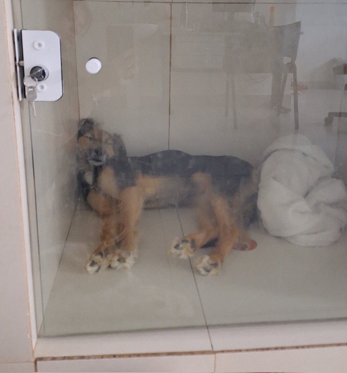 luisa ☽☾ tweet media