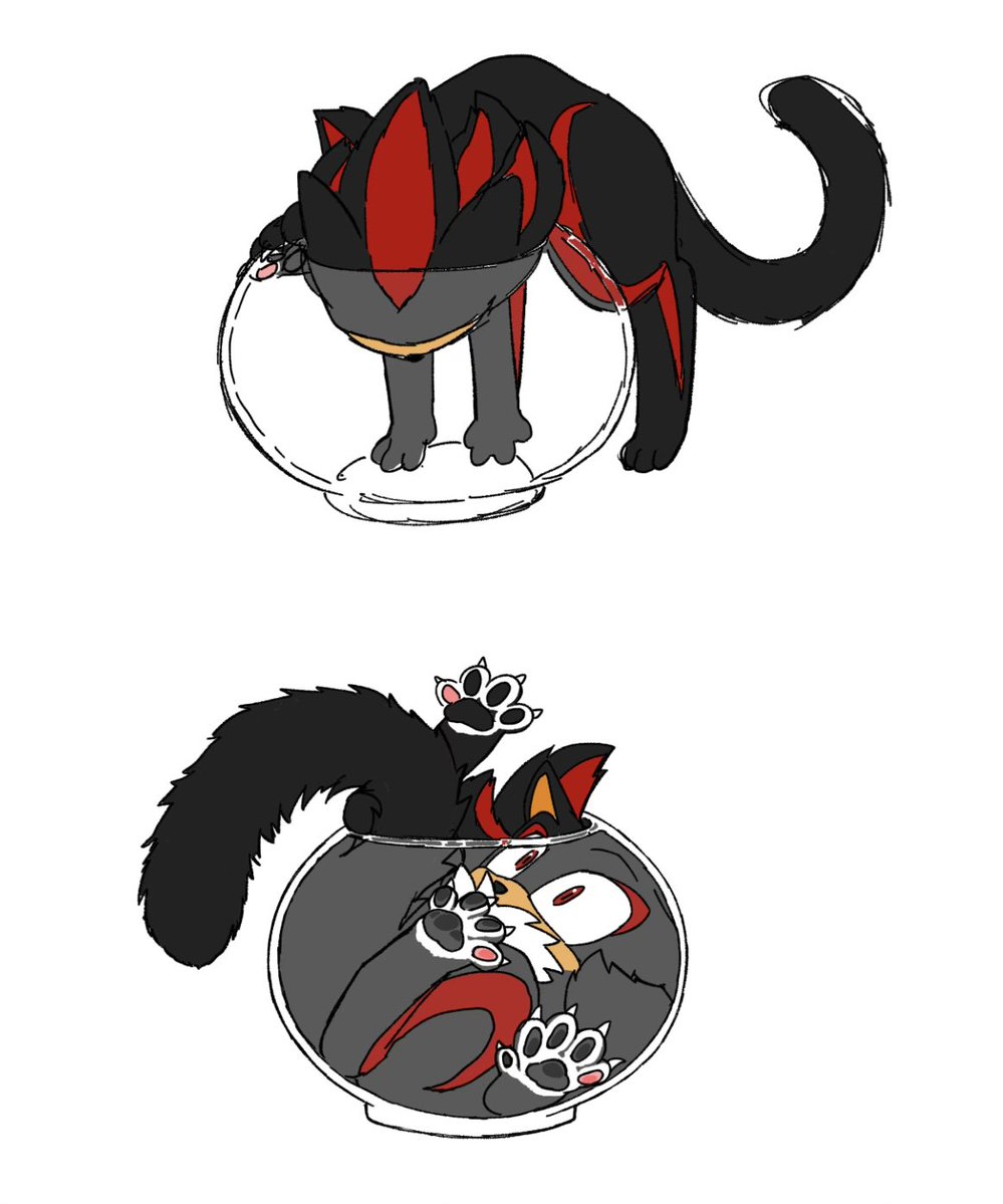 시안나이드 tweet media