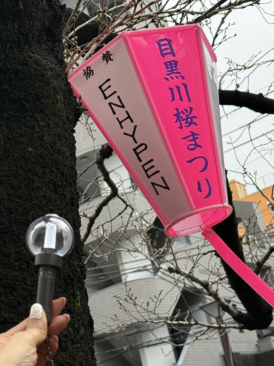 chihe_0127's tweet photo. 目黒川桜まつりのぼんぼりENHYPENで出した自分の見つけたー！
桜が咲いたらとても良さそうなので、桜の時期にまた来ようかと
ぼんぼりにあかりが灯ると更に良いね💕︎
 #ENHYPEN   #엔하이픈 https://t.co/HxFW01UI4Q