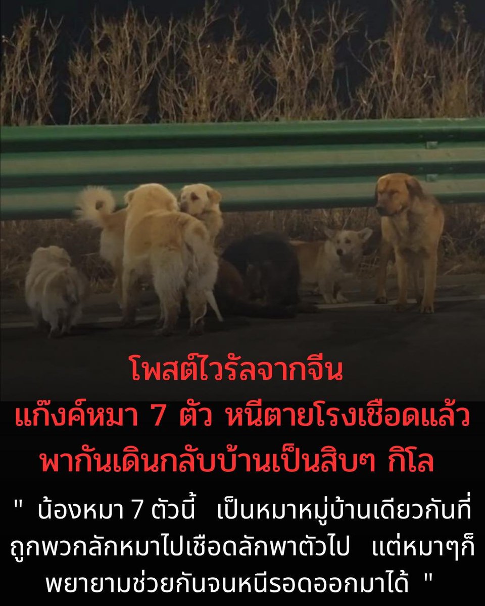 Karma (@karma_trust_) on Twitter photo 