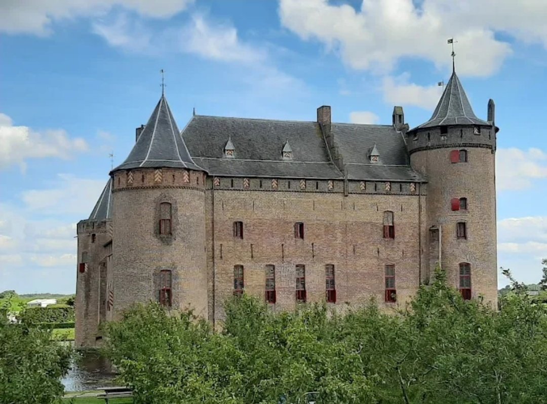 Marco Mout tweet media