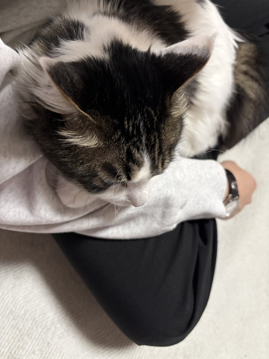 りゅーと tweet media