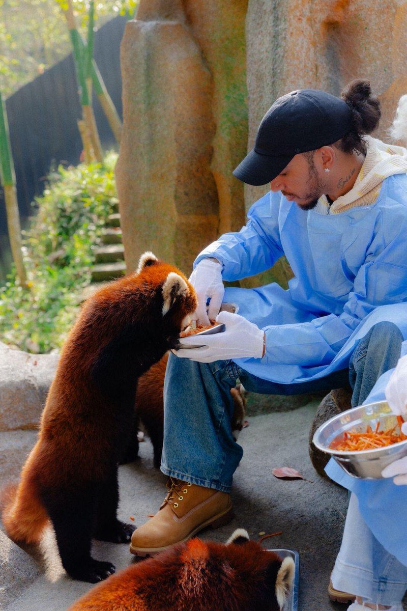 Chengdu China tweet media