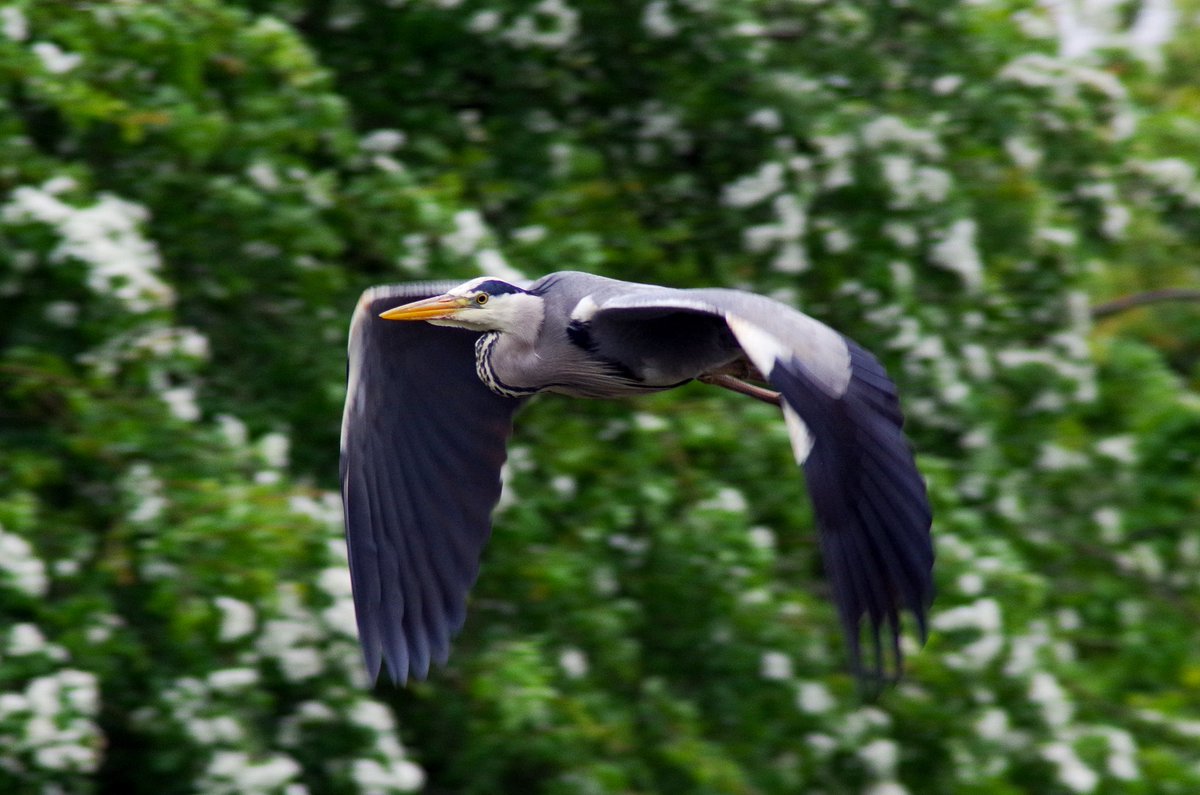 John Ord tweet media