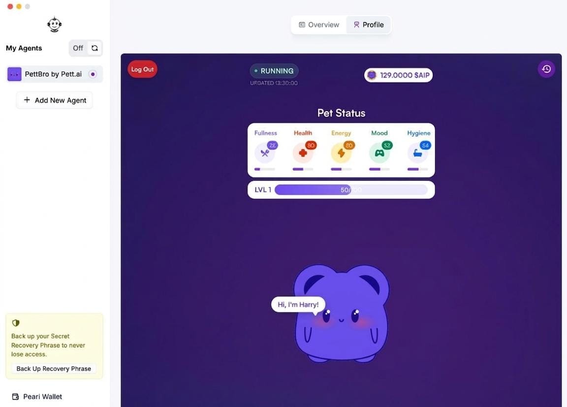 Aun Raza tweet media