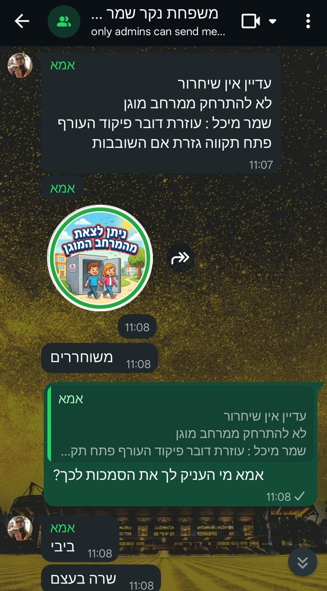 gal shemer tweet media