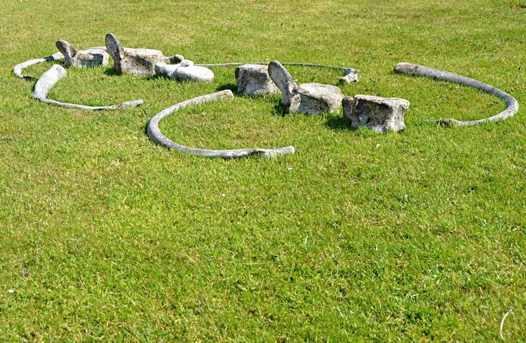 WeLoveDonegal tweet media