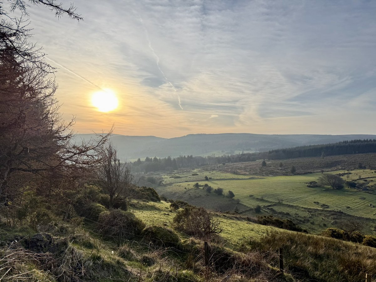 SavetheHellfire tweet media