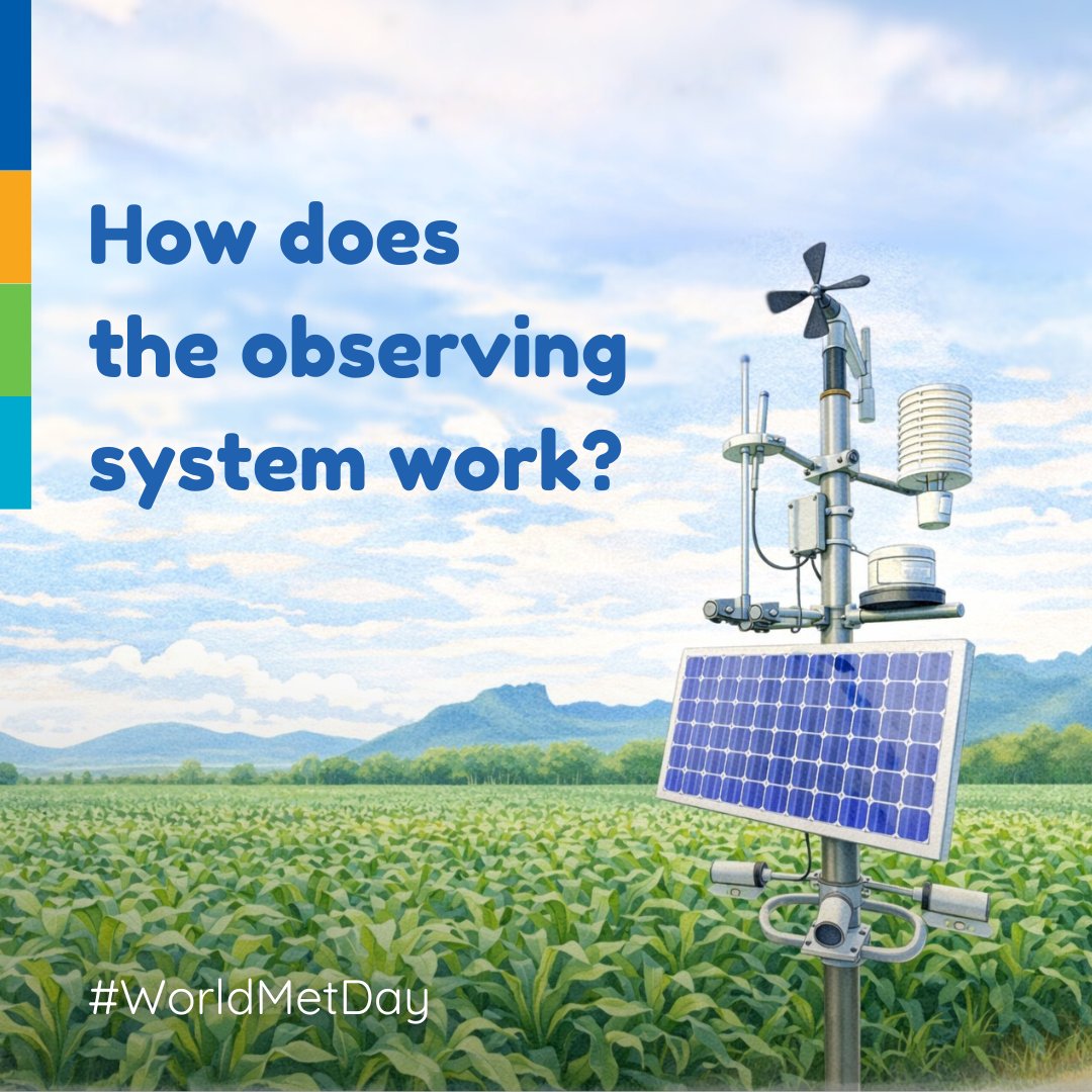 World Meteorological Organization tweet media