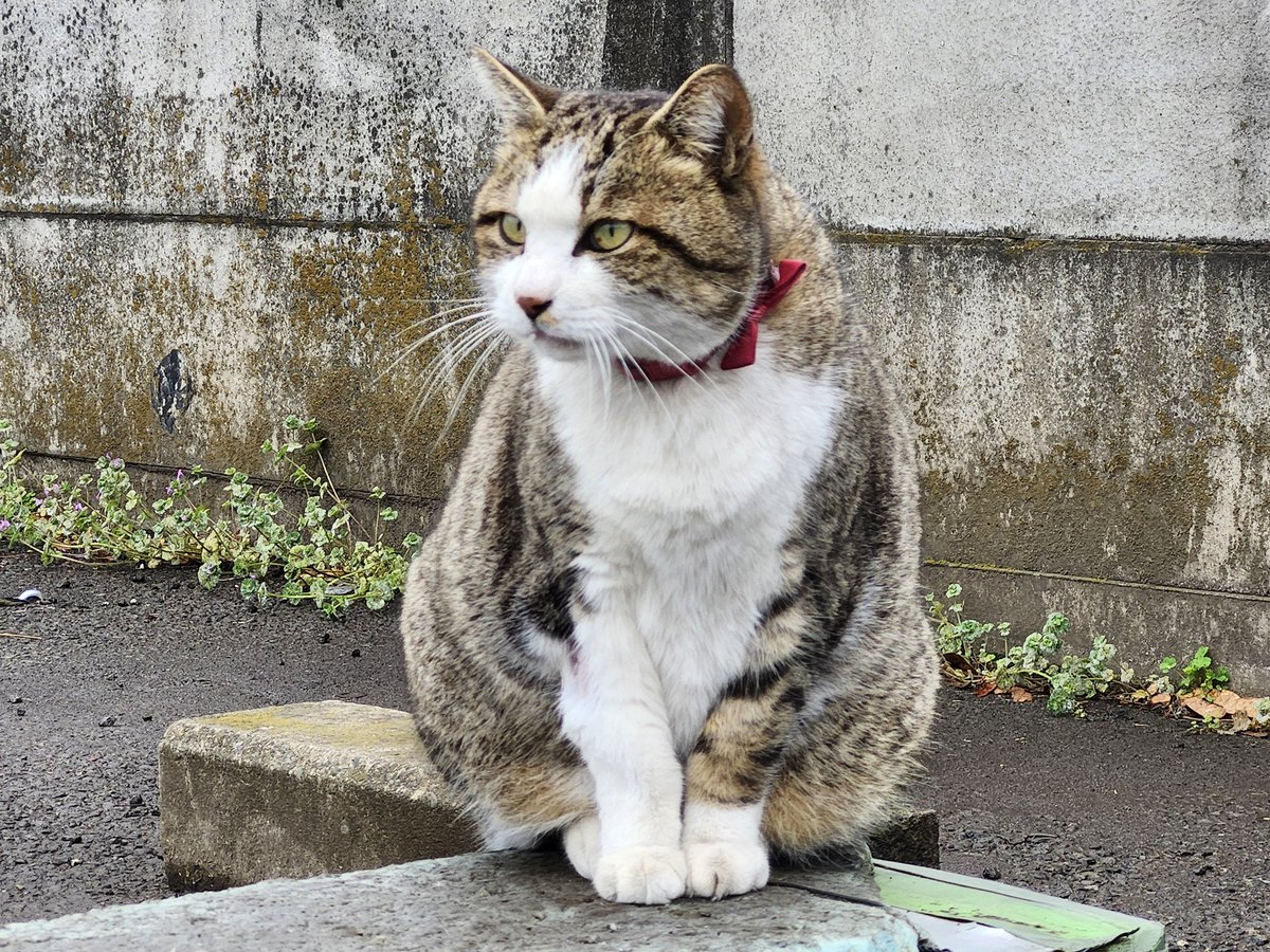 会いたかったよ〜またねっ🍀