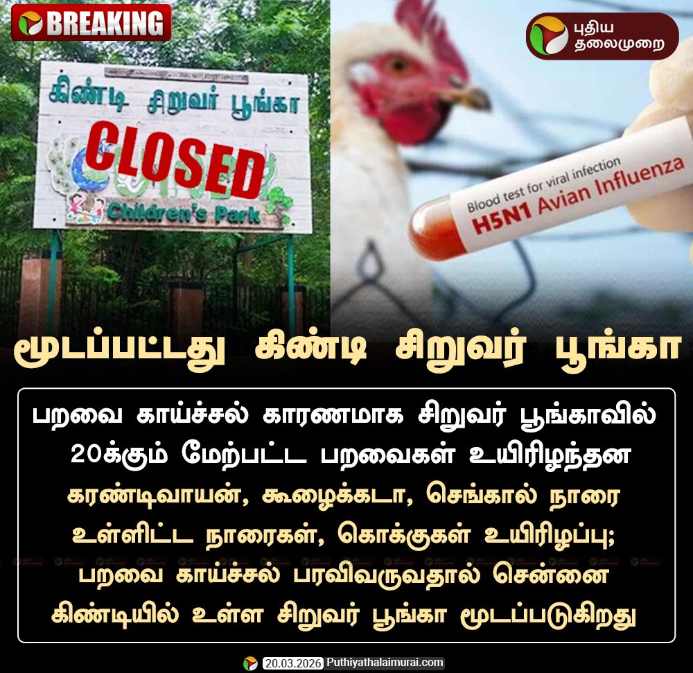 PttvOnlinenews tweet media