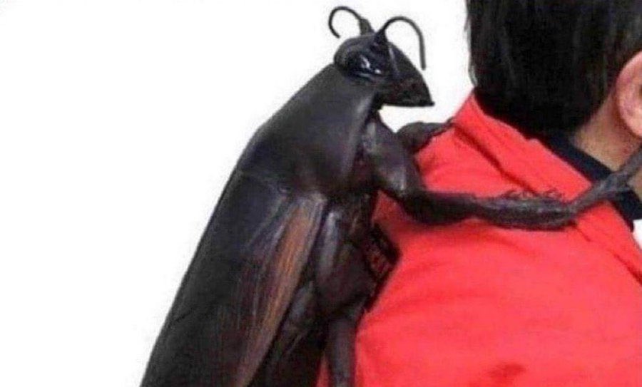 ✦ 𝓢𝓱𝓲𝓷𝓮 ✦🪐 tweet media