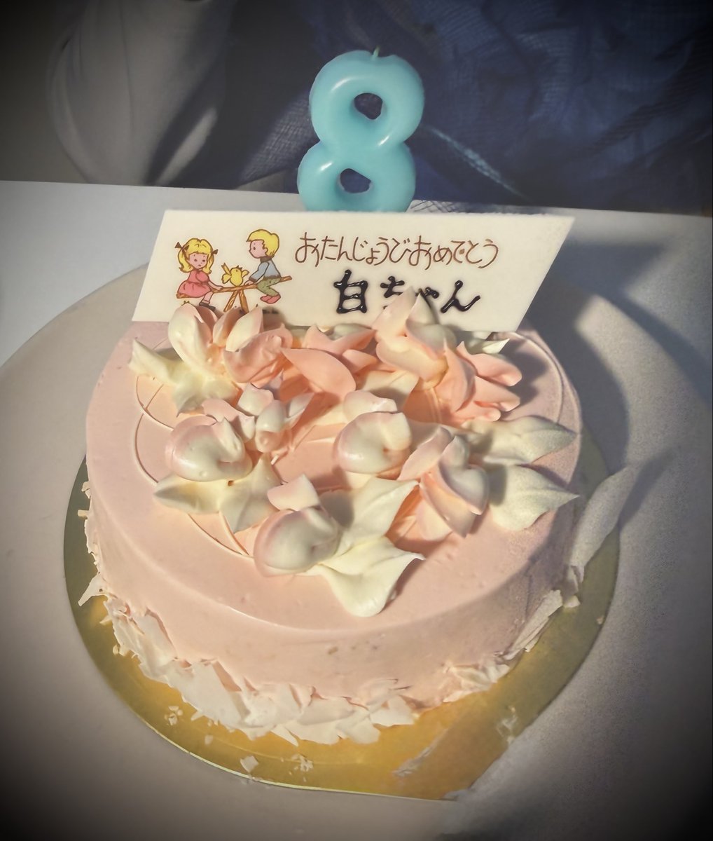 Tantan（谷口弓）Yumi Taniguchi tweet media