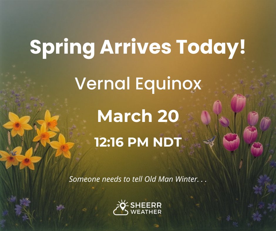 Eddie Sheerr tweet media