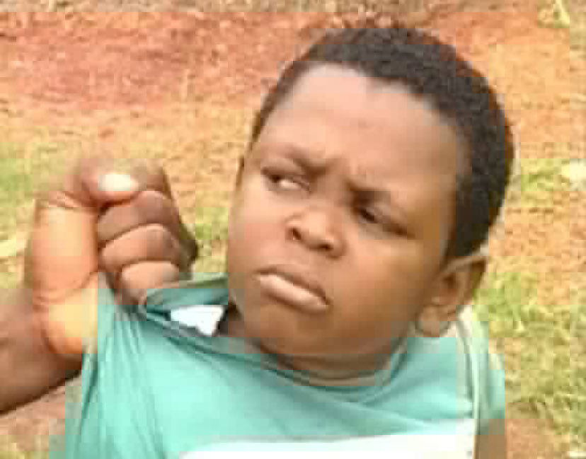 Dami_UTD tweet media