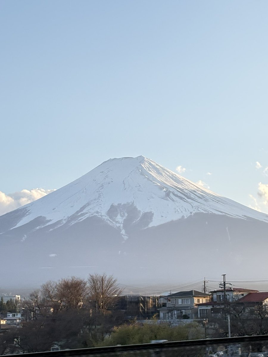 pung_pung tweet media