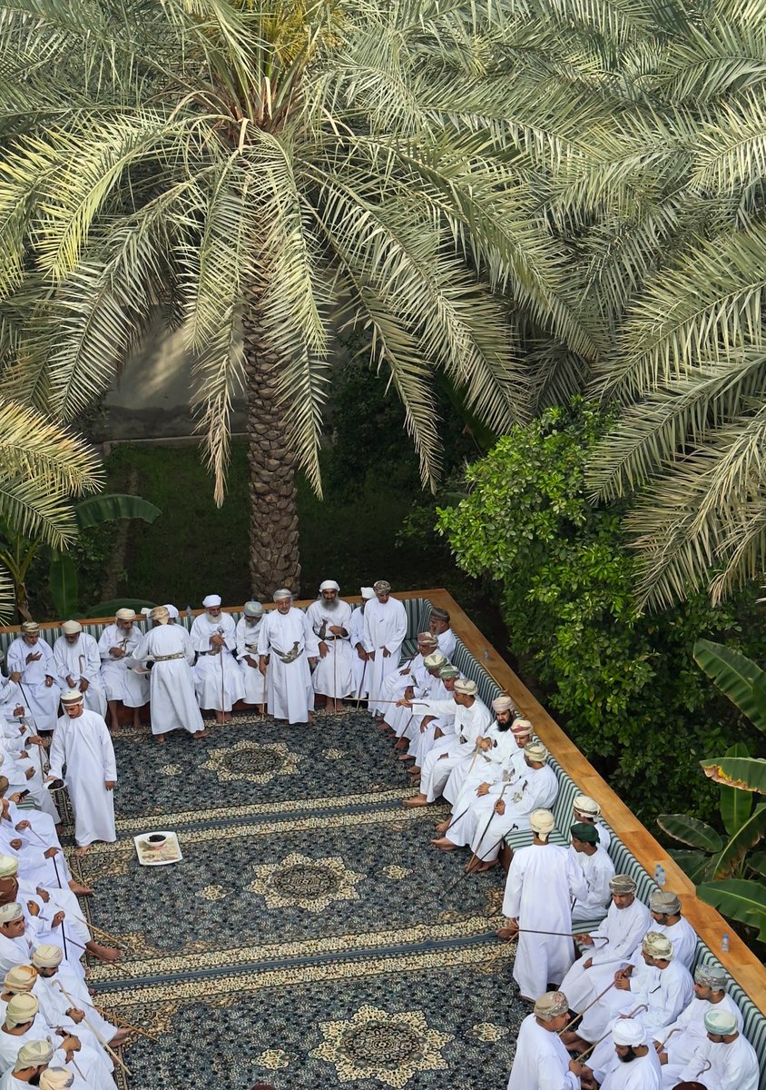 أُسامة عَلي. tweet media