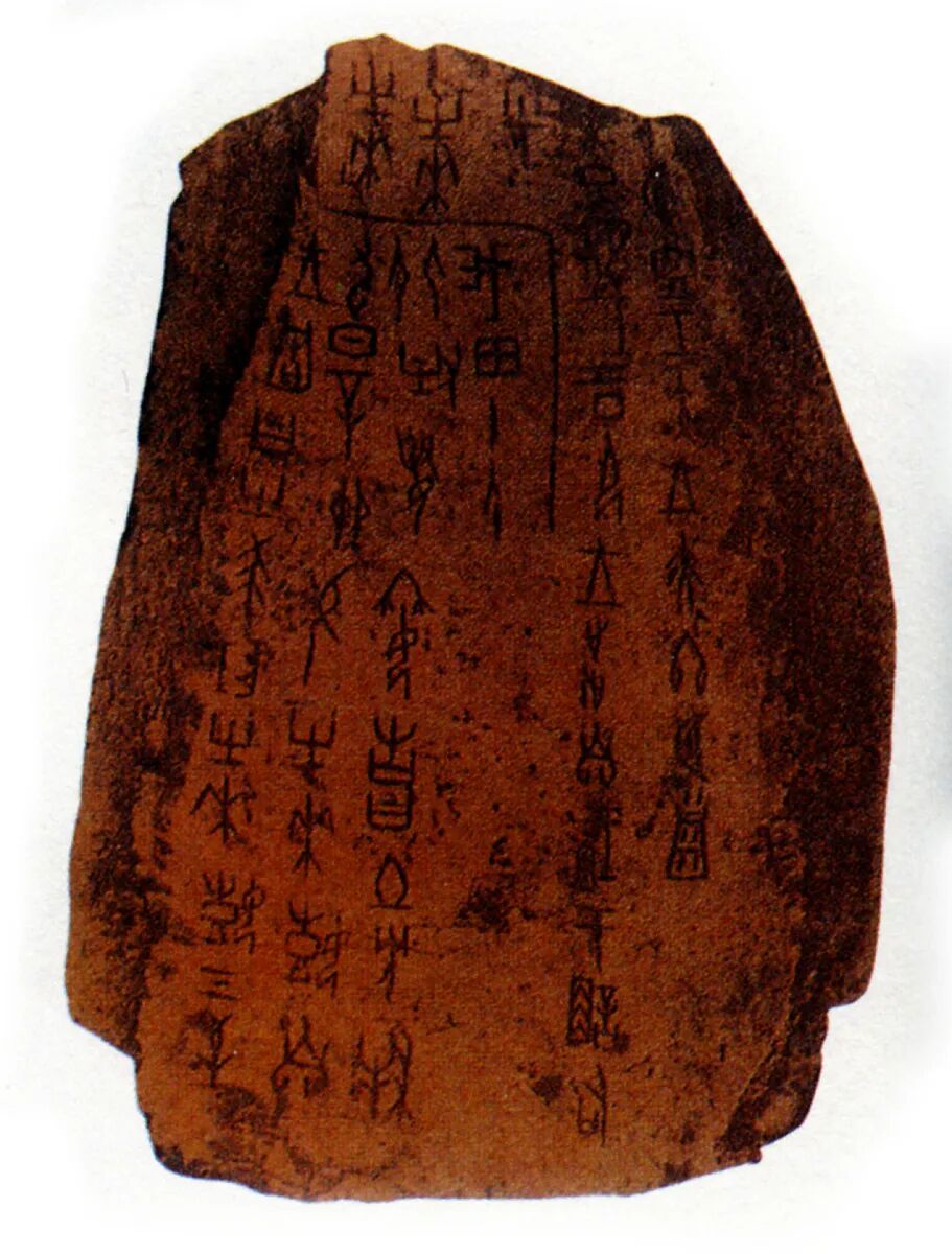 Discover Anyang tweet media