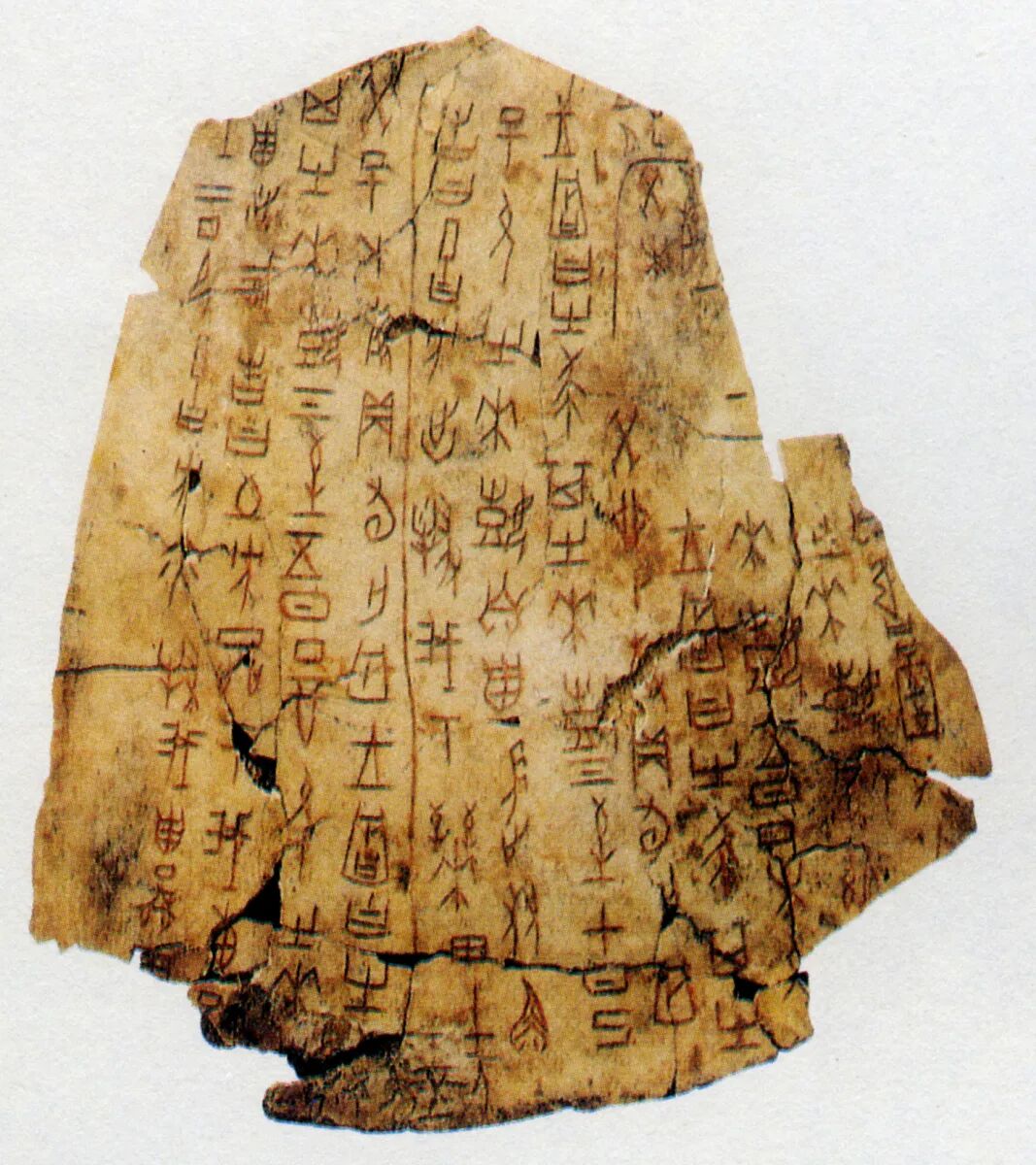 Discover Anyang tweet media