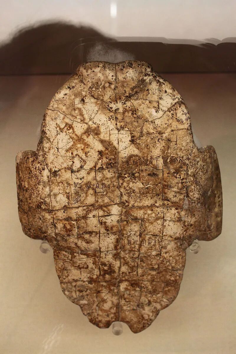 Discover Anyang tweet media