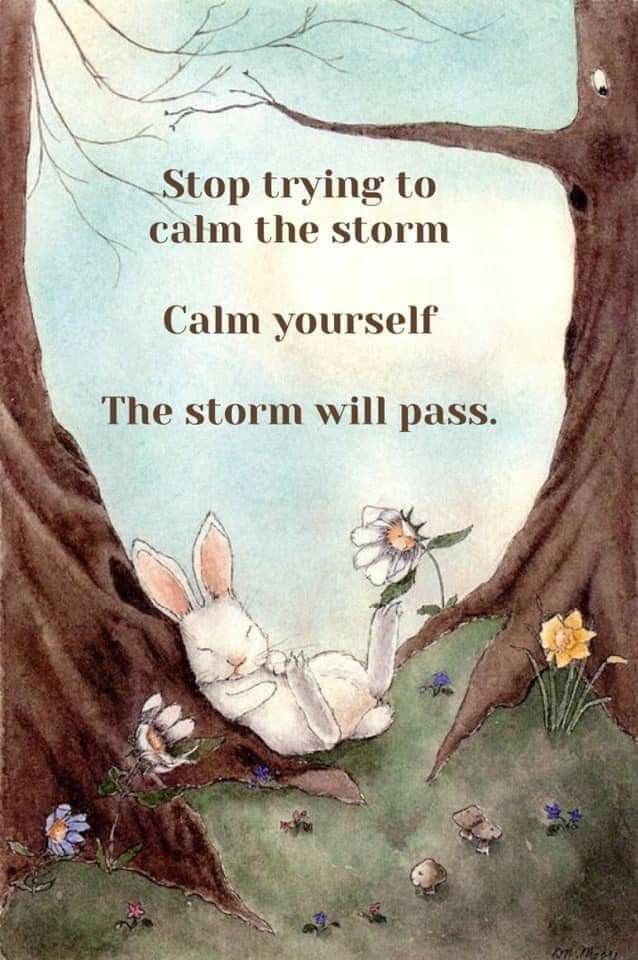 Minds Mastery tweet media