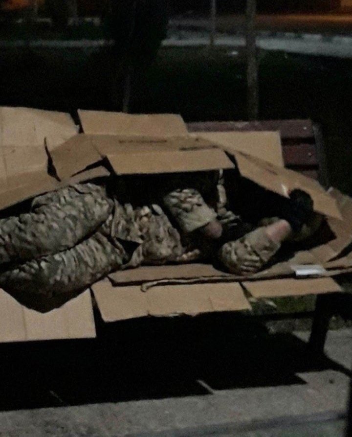 Hamed 🇮🇷 tweet media