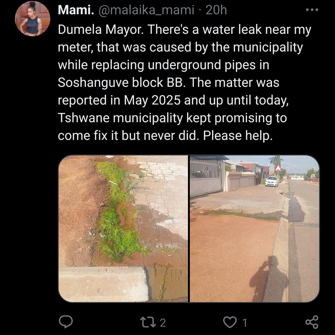 Em Tempest 🐭 tweet media