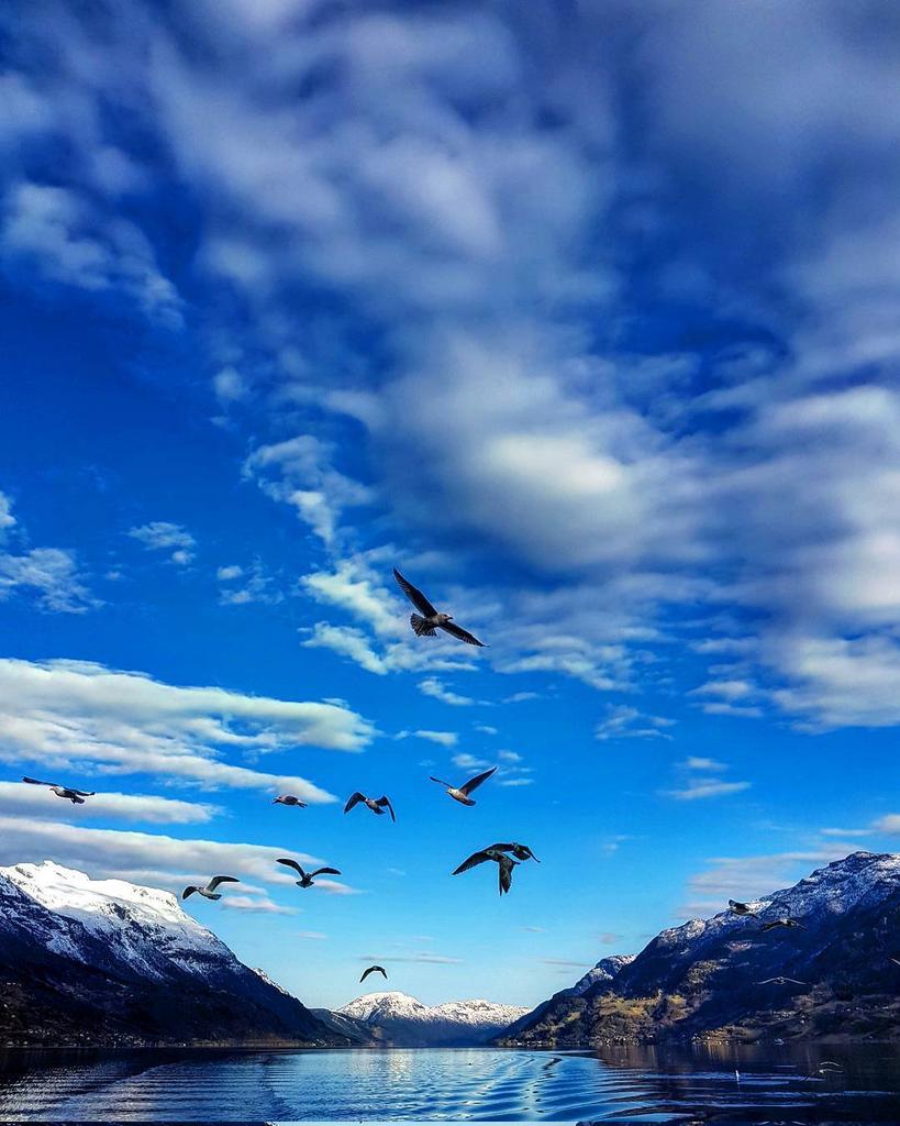 MERCHE MALDONADO tweet media