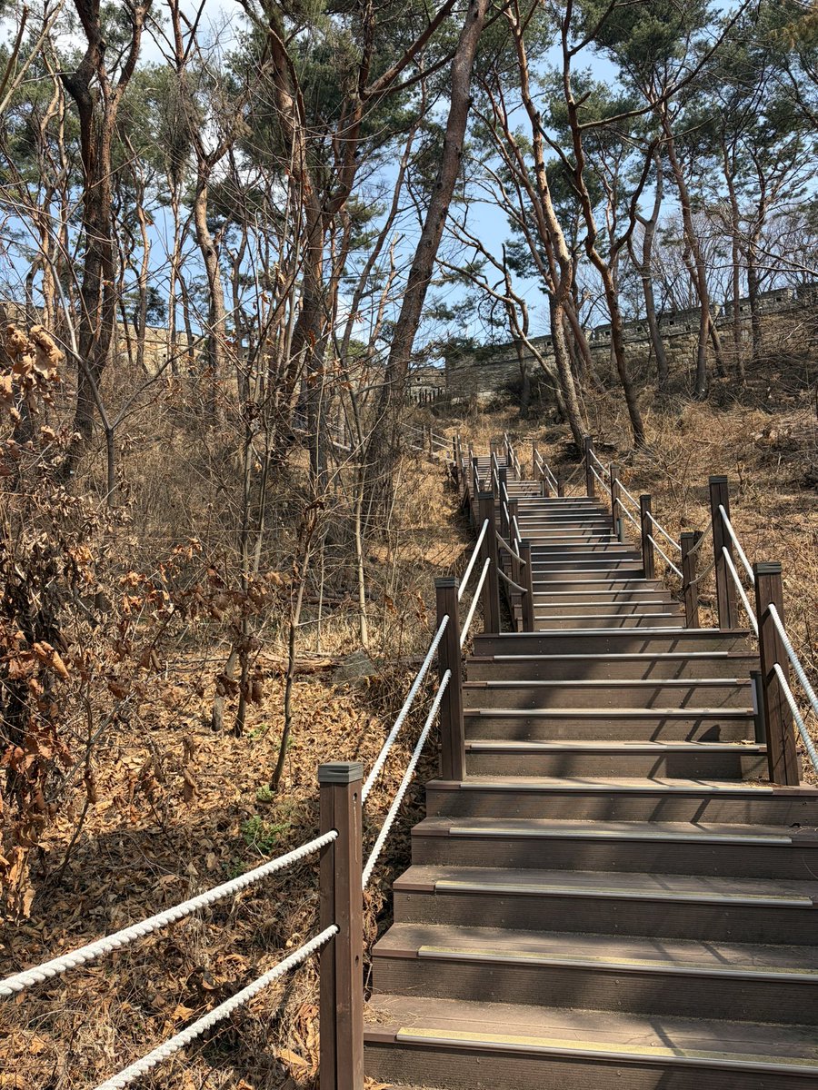 박톰스완 tweet media