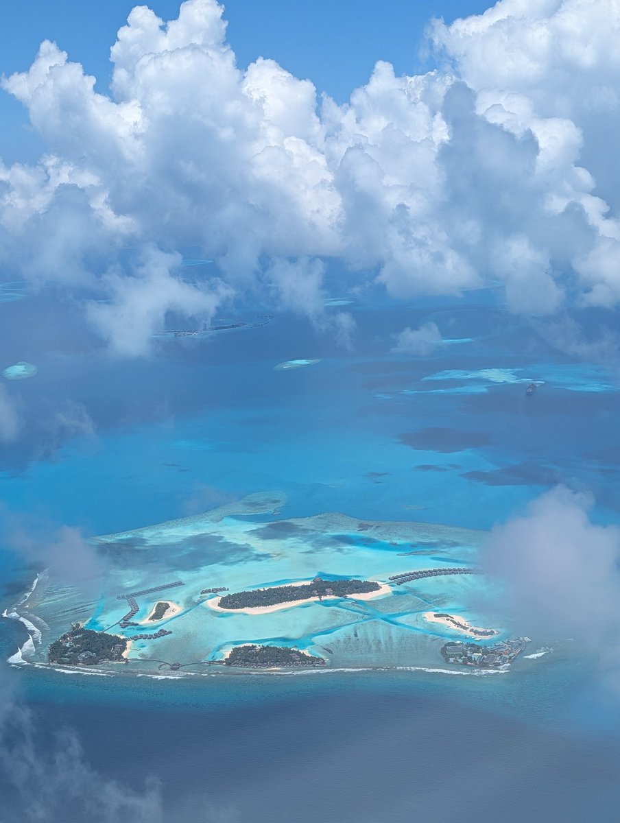 binlingual tweet media