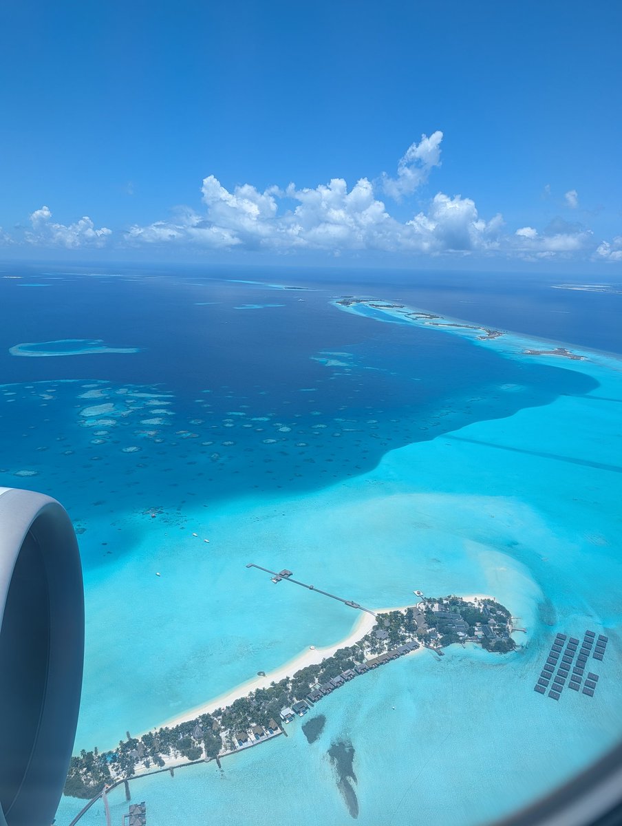 binlingual tweet media