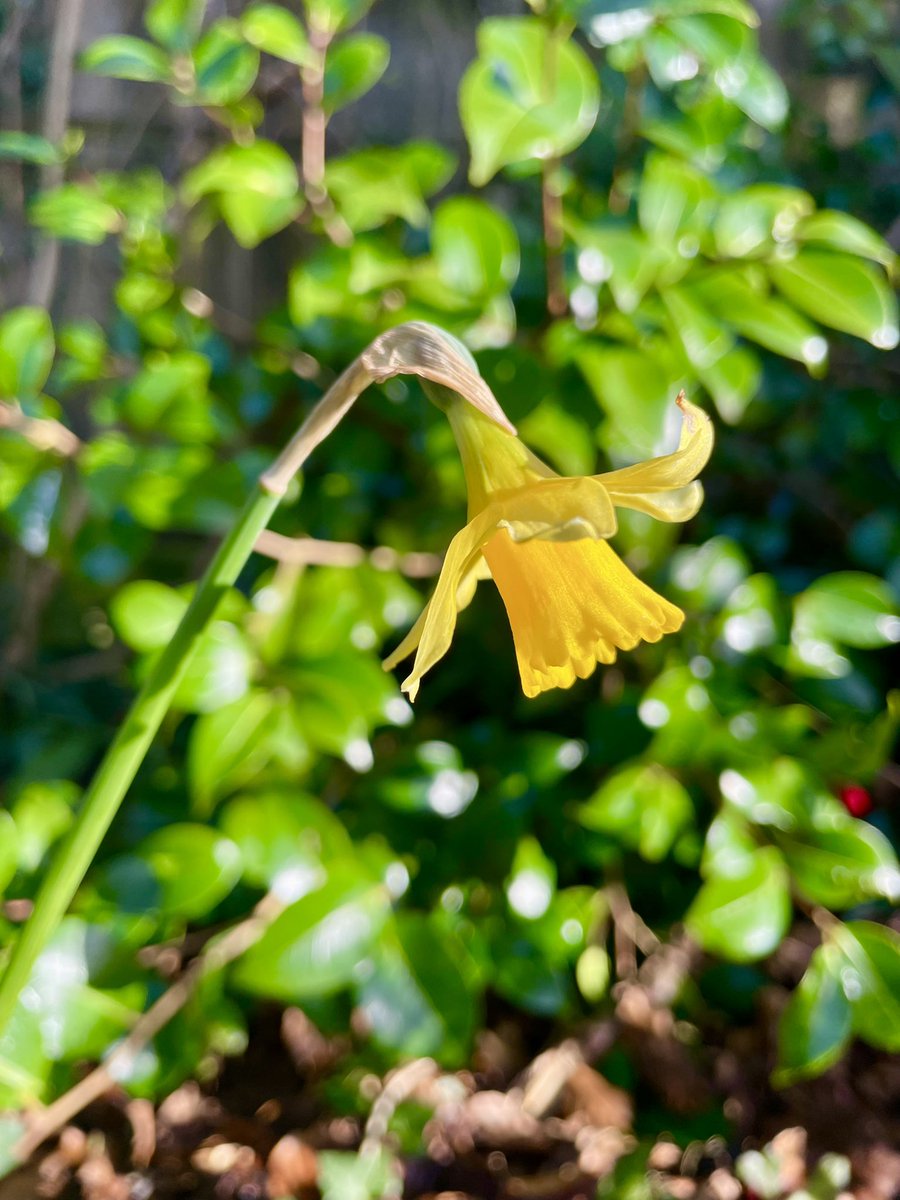 Stifyn Parri 🌈 tweet media