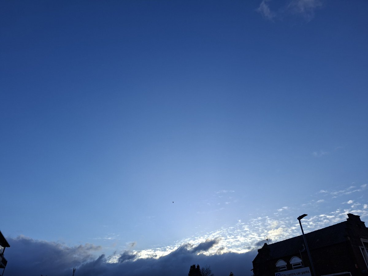 Iceview Nine tweet media