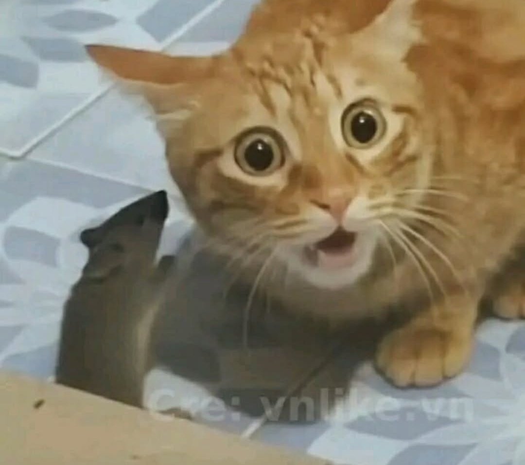 WareHouse ๐ฆ
tweet media