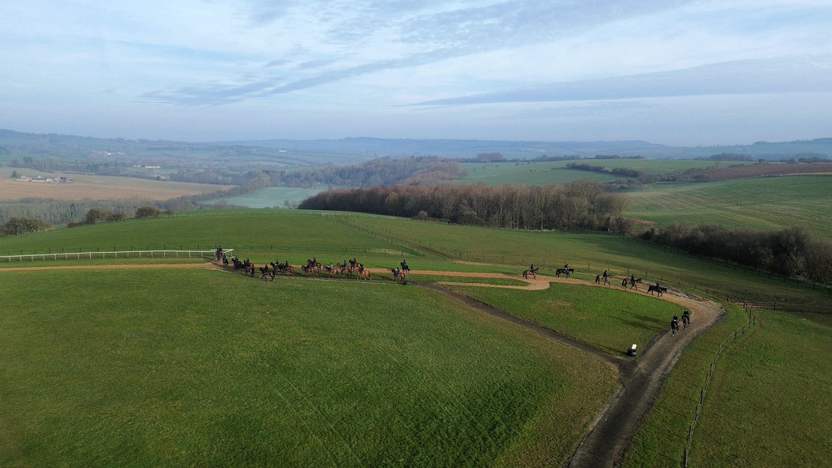 Fergal O'Brien Racing tweet media