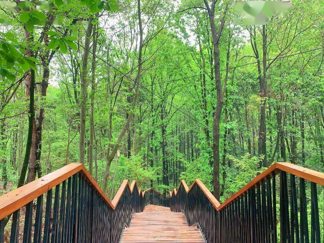 BijuNair tweet media