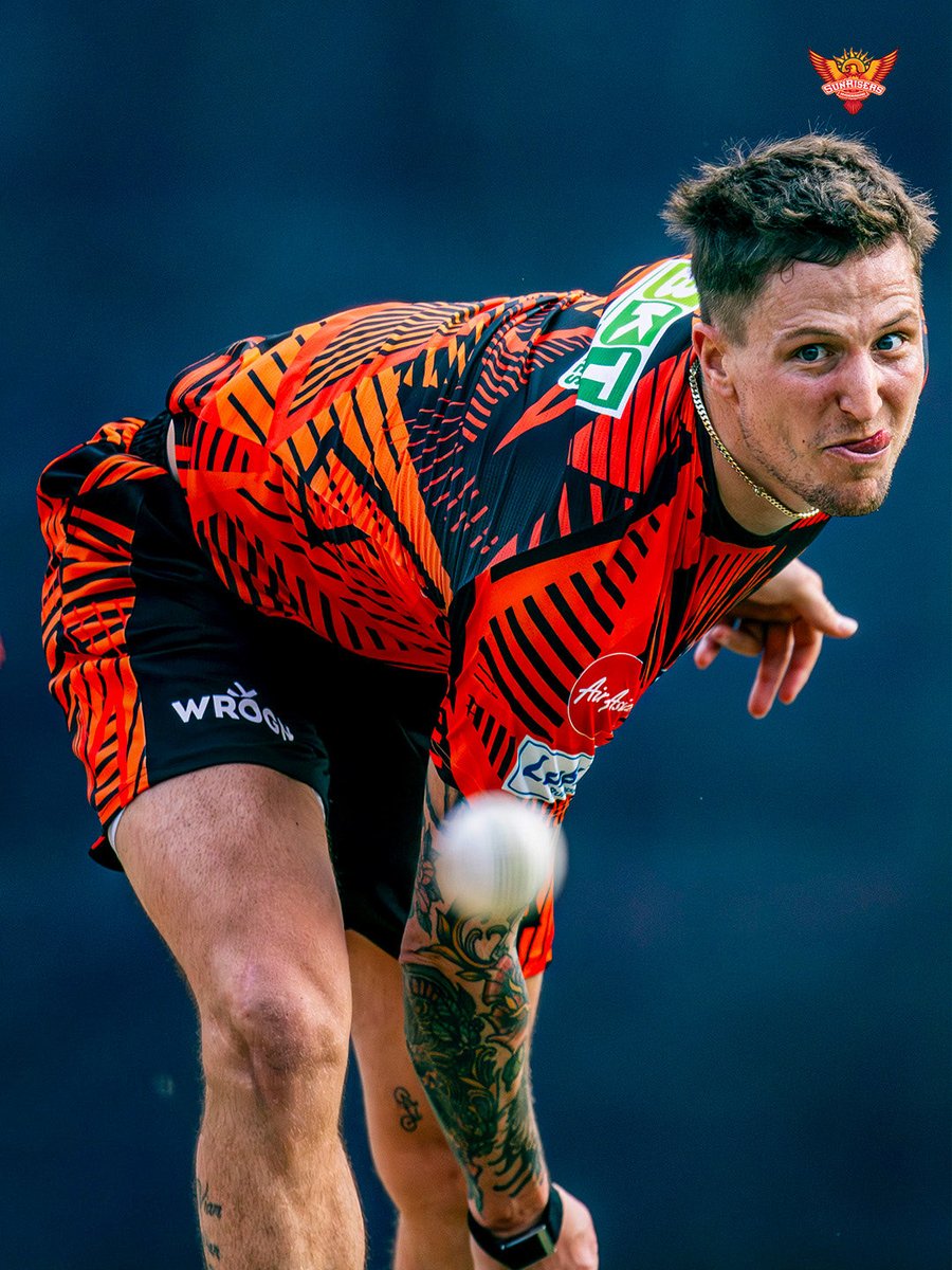 ORANGE ARMY tweet media