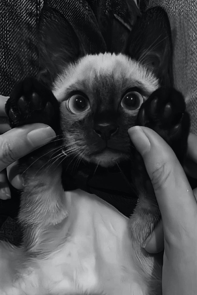 𝐍𝐚𝐭𝐡𝐚𝐧 tweet media