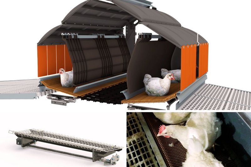 Big Dutchman International tweet media